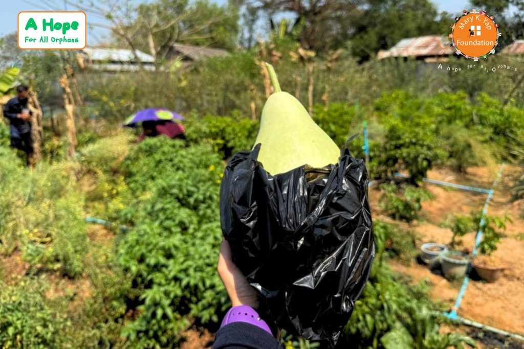 The FirstSeed Campaign for Sustainability
