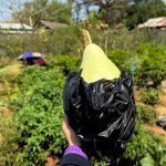 The FirstSeed Campaign for Sustainability